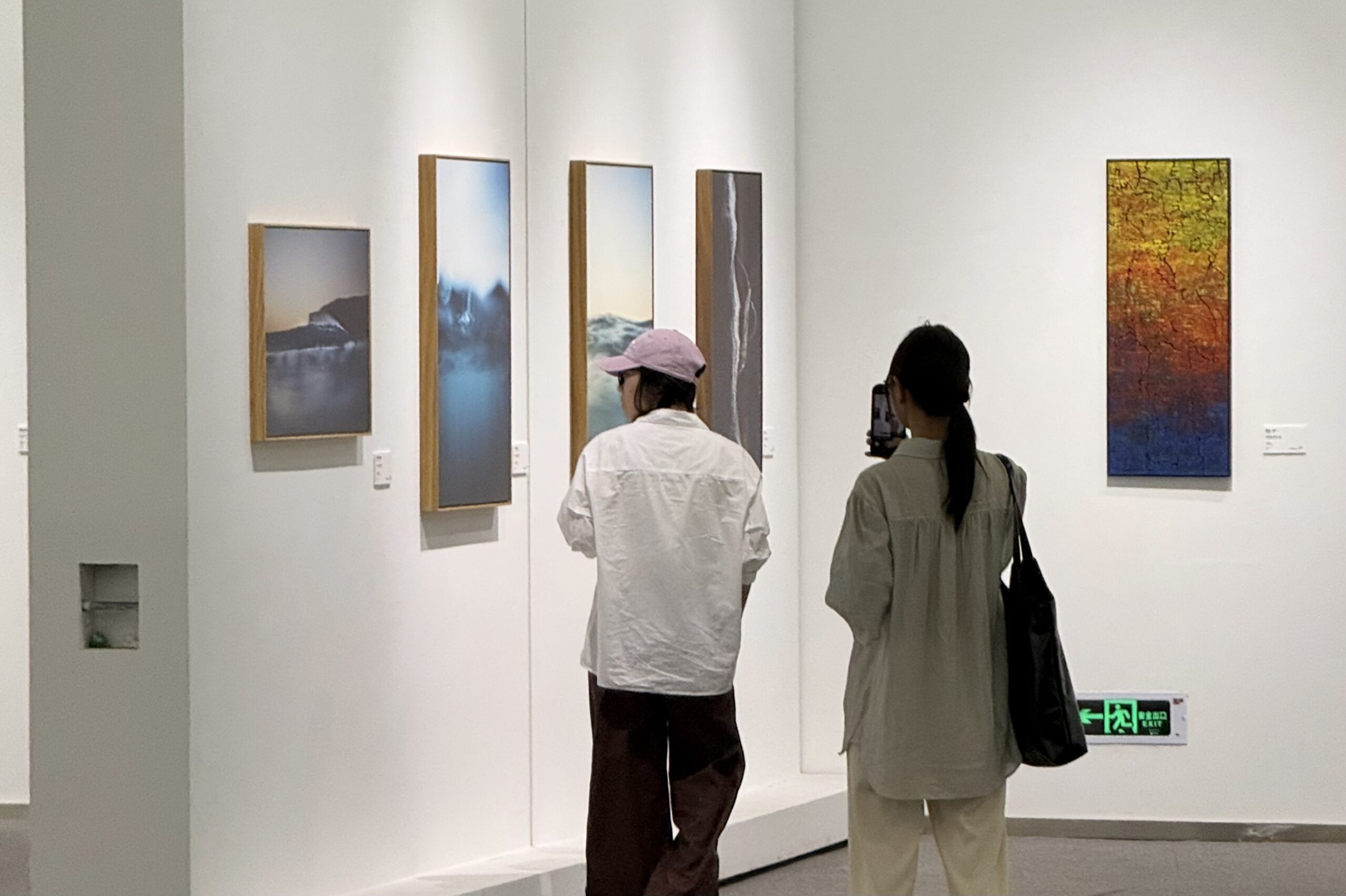 DSC_500